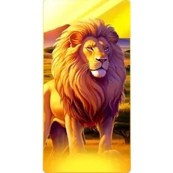 Lion
Safari